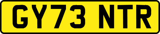 GY73NTR
