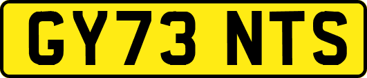GY73NTS