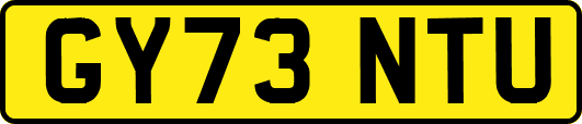 GY73NTU