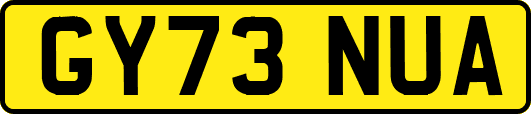 GY73NUA