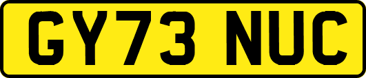GY73NUC