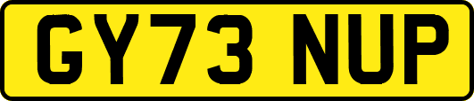 GY73NUP