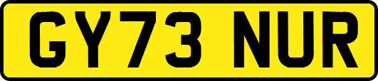 GY73NUR
