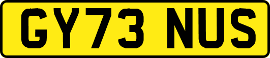GY73NUS