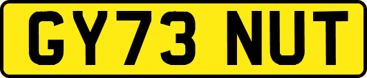 GY73NUT