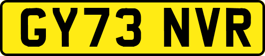 GY73NVR
