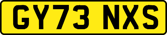 GY73NXS