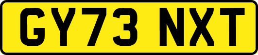 GY73NXT