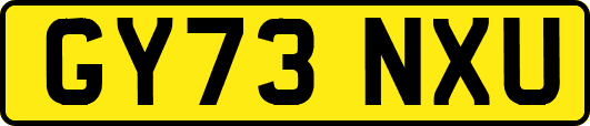 GY73NXU