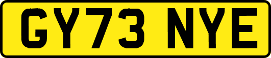 GY73NYE