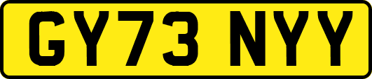 GY73NYY