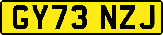 GY73NZJ