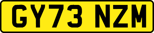GY73NZM