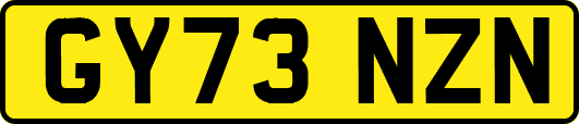 GY73NZN
