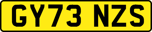 GY73NZS