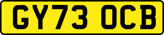 GY73OCB