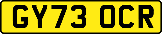 GY73OCR