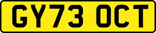 GY73OCT