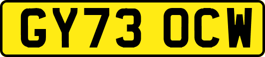 GY73OCW