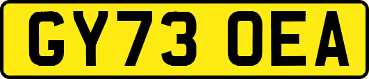 GY73OEA