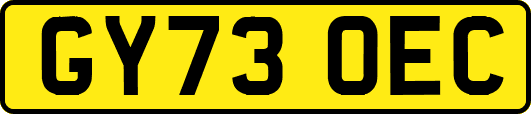 GY73OEC