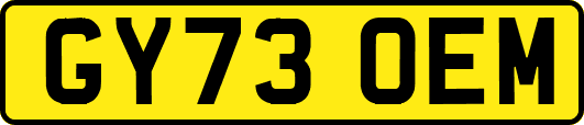 GY73OEM