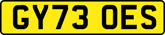 GY73OES