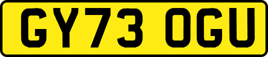 GY73OGU