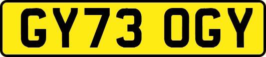 GY73OGY