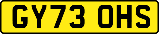 GY73OHS