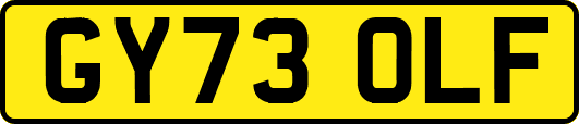 GY73OLF