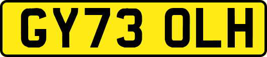 GY73OLH