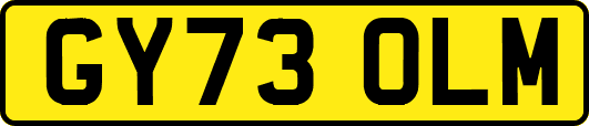 GY73OLM