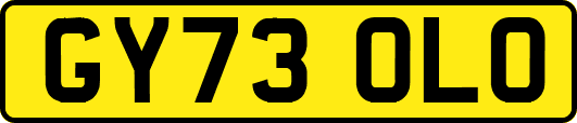 GY73OLO