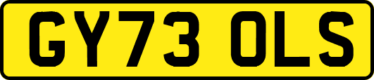 GY73OLS