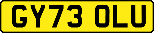 GY73OLU