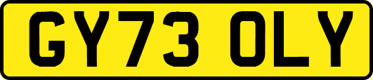 GY73OLY