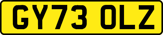 GY73OLZ