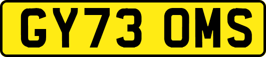 GY73OMS