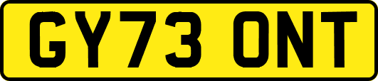 GY73ONT