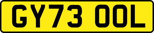 GY73OOL