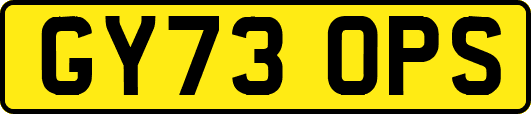 GY73OPS