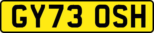 GY73OSH