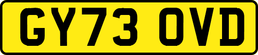 GY73OVD