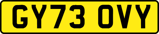 GY73OVY