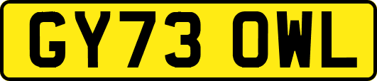 GY73OWL