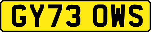 GY73OWS