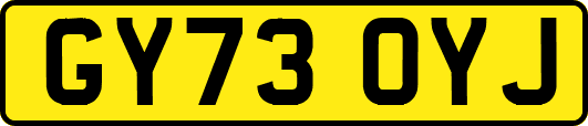 GY73OYJ