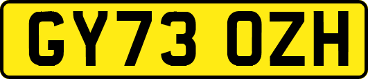 GY73OZH