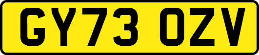 GY73OZV